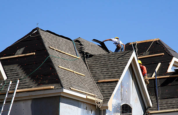 Best Roof Gutter Cleaning  in Richmond, KY